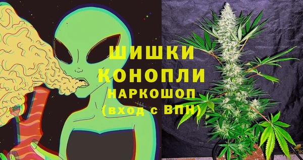 прущие грибы Алексин