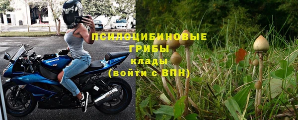 спиды Алзамай