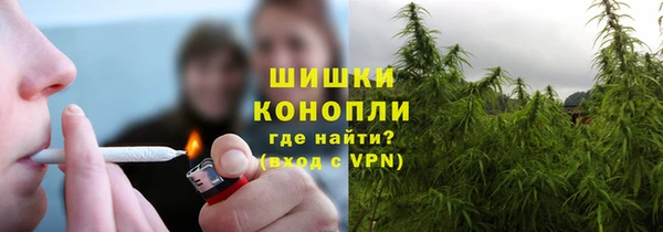 прущие грибы Алексин