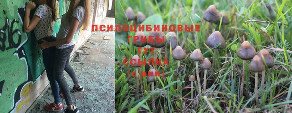 спиды Алзамай