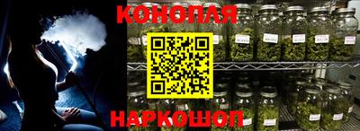 сатива Долгопрудный