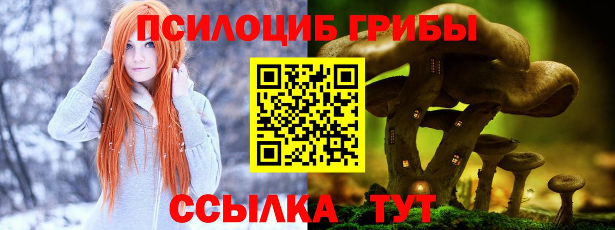 Карасук  Псилоцибиновые грибы Psilocybe  Вход с VPN 
