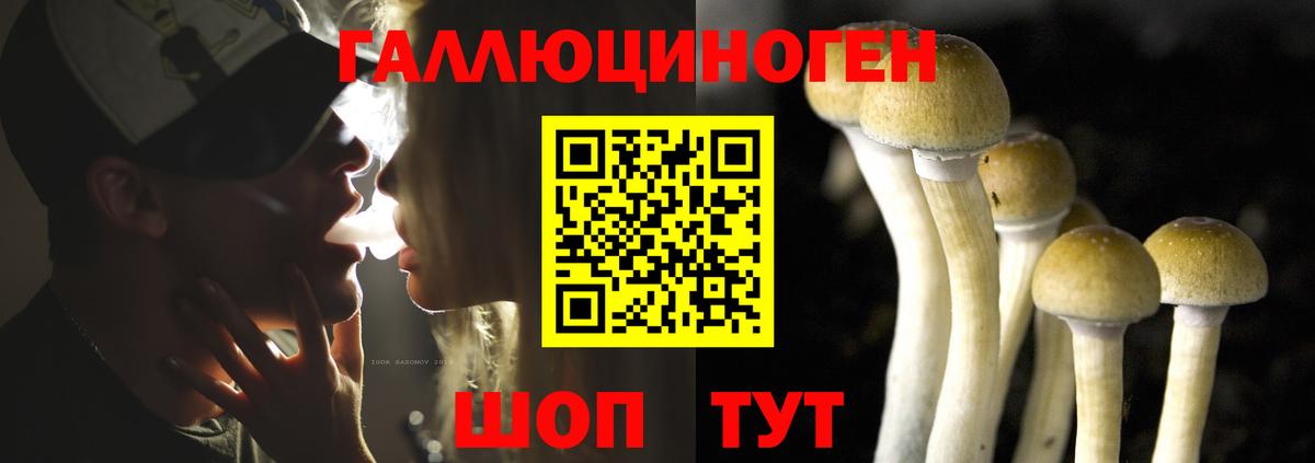Псилоцибиновые грибы Psilocybine cubensis Карасук
