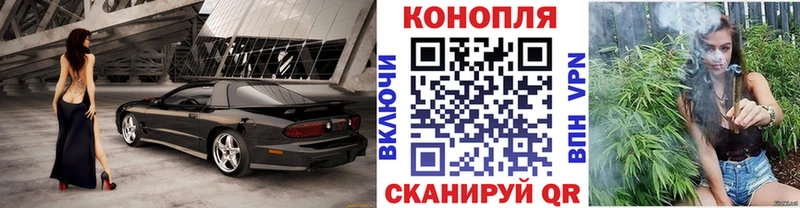 МАРИХУАНА планчик  где можно купить   Карасук 